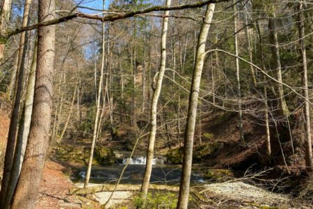 Rundwanderung ab Wald – Josenberg Rundwanderung ab Wald – Josenberg